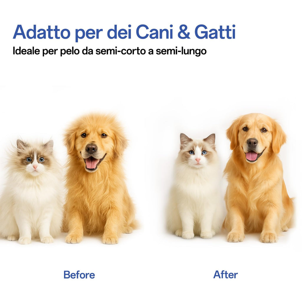 ACE2ACE Spazzola Gatto Cane Pelo Lungo e Corto, Autopulente Spazzola Morbida per Gatti e Cani, Cardatore per Cani Gatti, Brush per Barboncino,Golden Retriever,Labrador,Husky,Bulldog,Maltese, Blu