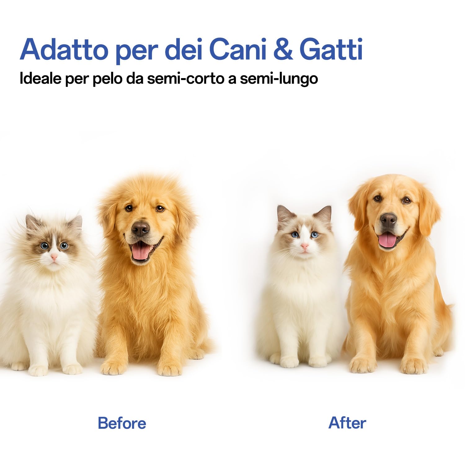ACE2ACE Spazzola Gatto Cane Pelo Lungo e Corto, Autopulente Spazzola Morbida per Gatti e Cani, Cardatore per Cani Gatti, Brush per Barboncino,Golden Retriever,Labrador,Husky,Bulldog,Maltese, Blu
